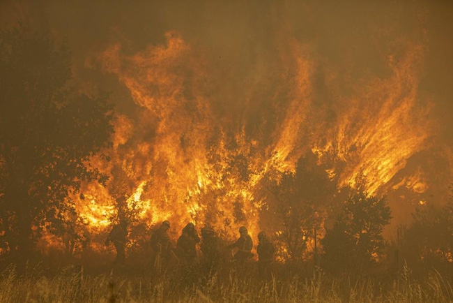 Cháy lớn càn quét các cánh rừng của Tây Ban Nha trong đợt nắng nóng kỷ lục